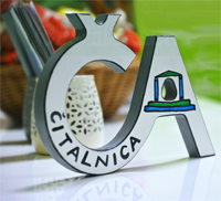 Ča-čitalnica