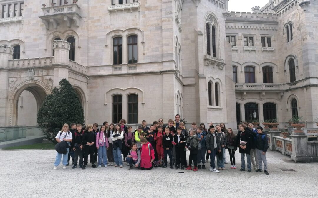 Terenska nastava Trst